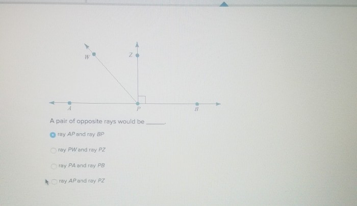 A pair of opposite rays that both contain r