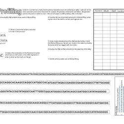 Catch the killer biology answer key