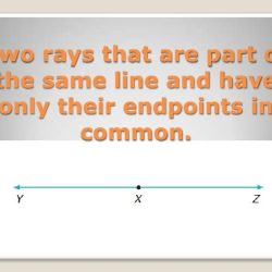 A pair of opposite rays that both contain r