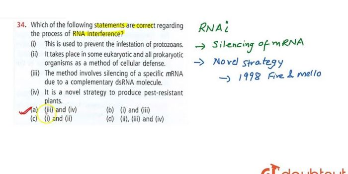 Which of the following regarding planograms is true cvs