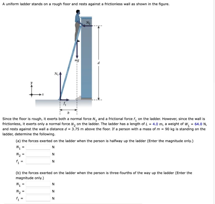 Rod positioned uniform frictionless rest released surface shown then